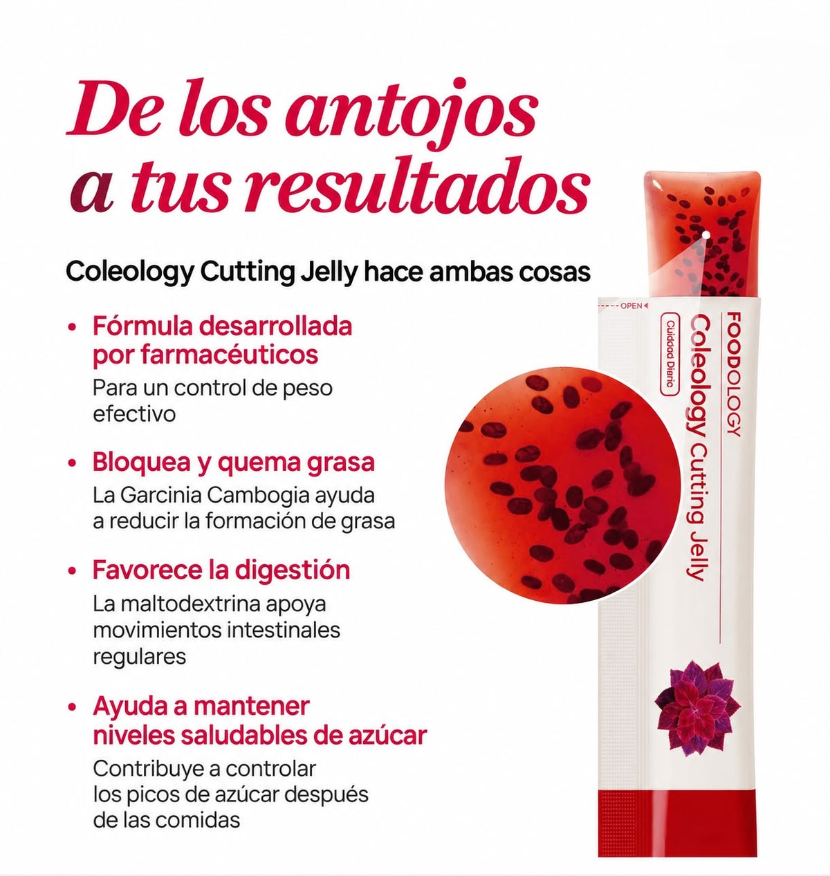 FOODOLOGY - Coleology Cutting Jelly (10 pouch)